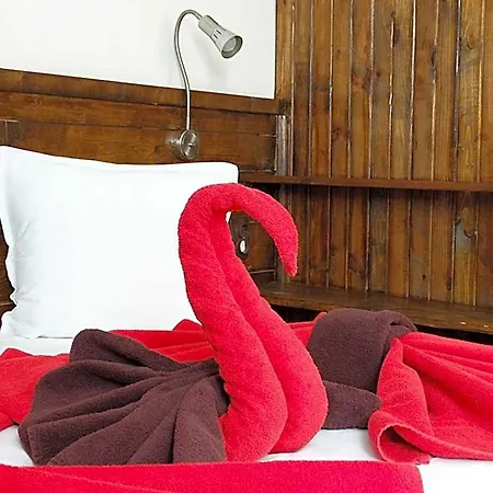 Hotel Simona Complex *