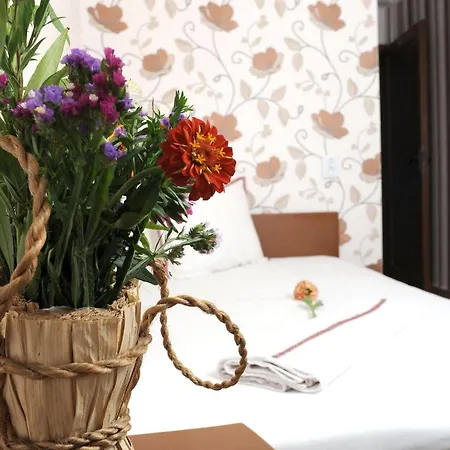 Simona Complex ソフィア