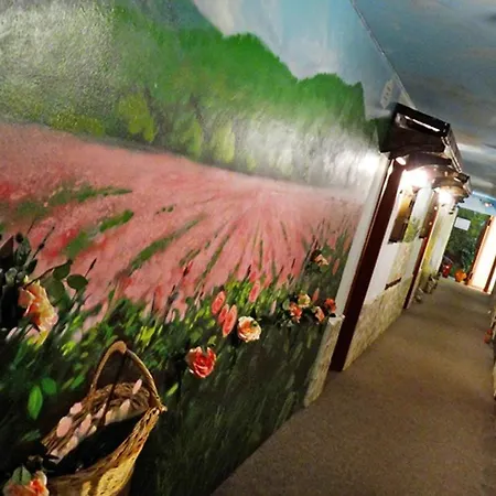 Simona Complex * ソフィア