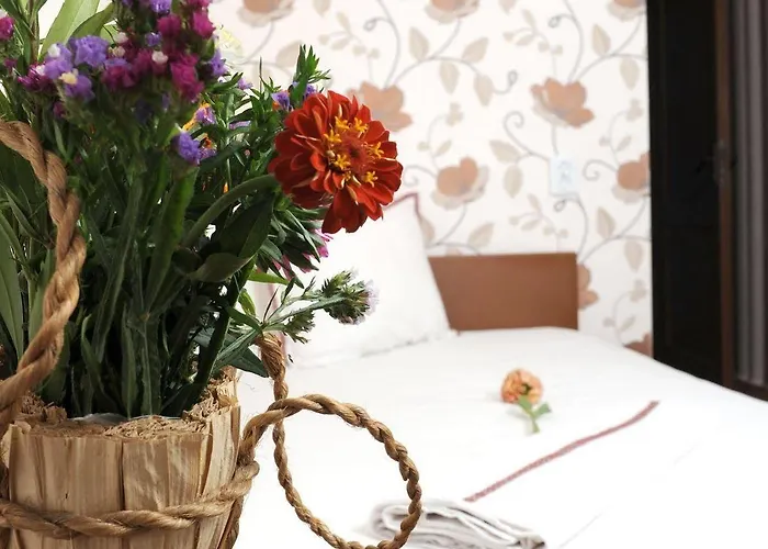 Simona Complex Sofia