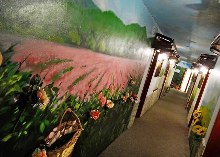 Simona Complex * صوفيا