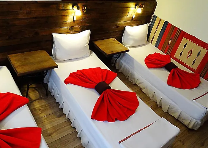 Simona Complex Sofia